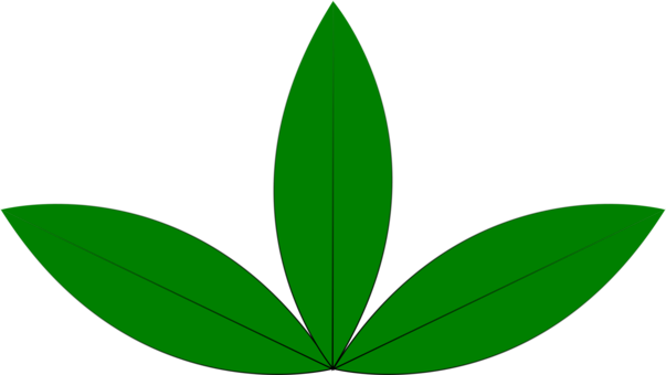 Plant Leaf Download Computer Icons Seedling - Plant Leaf Download Computer Icons Seedling (603x340)