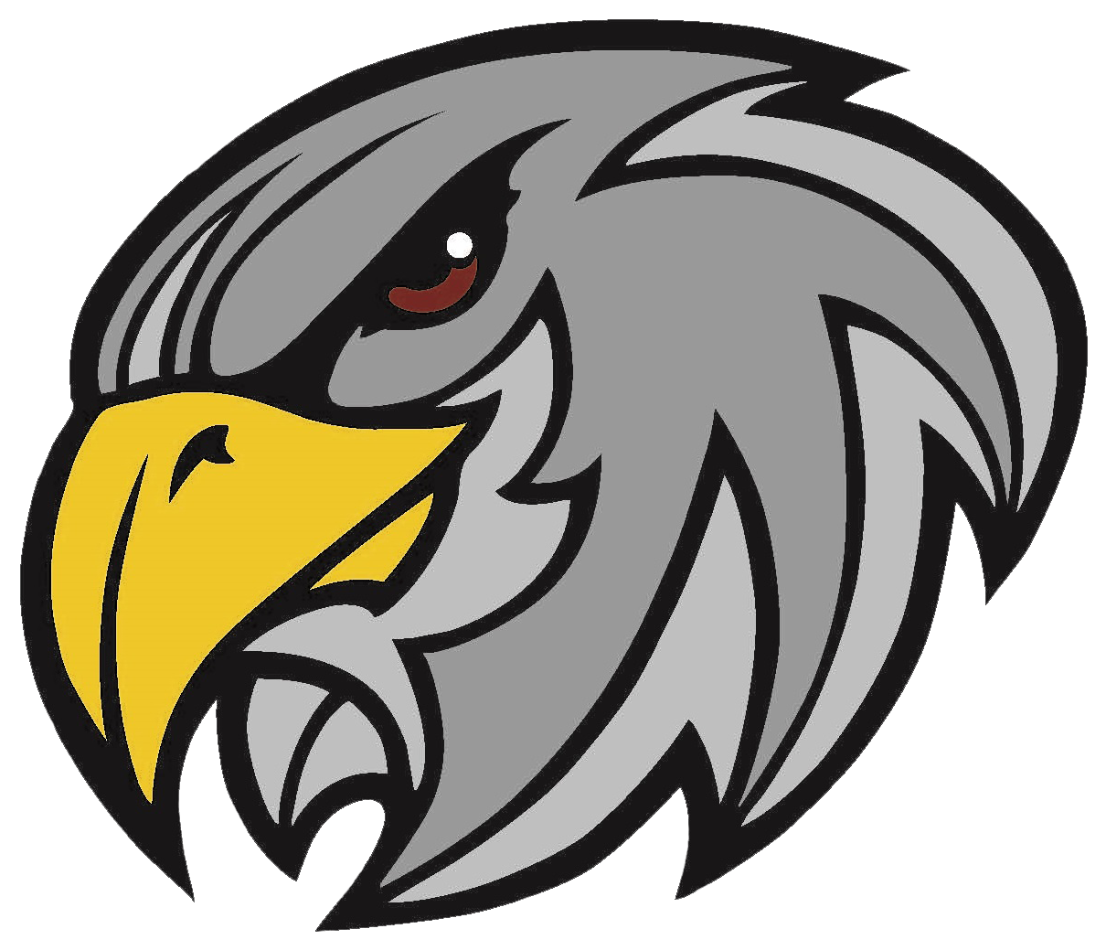 Yeshivah Of Flatbush Falcons - Yeshivah Of Flatbush Falcons (1377x1097)