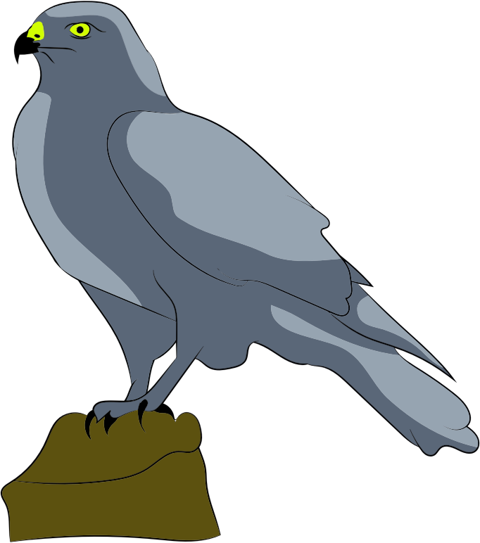 Falcon-clipart - Falcon-clipart (682x772)