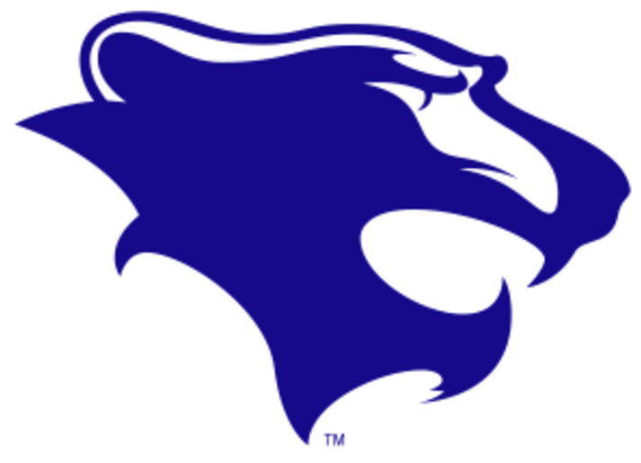 Wildcat Clipart Wilmington - Wildcat Clipart Wilmington (720x720)