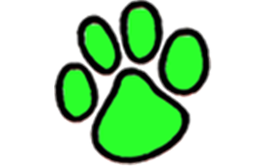 We Were Told By The Teachers That The Books Would Be - We Were Told By The Teachers That The Books Would Be (880x550)