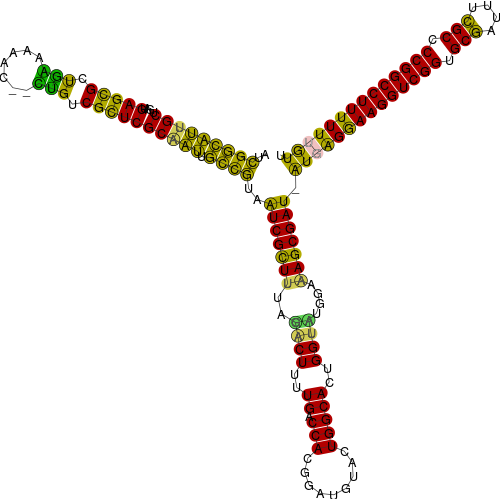 Newbery Book Report Project - Newbery Book Report Project (500x499)