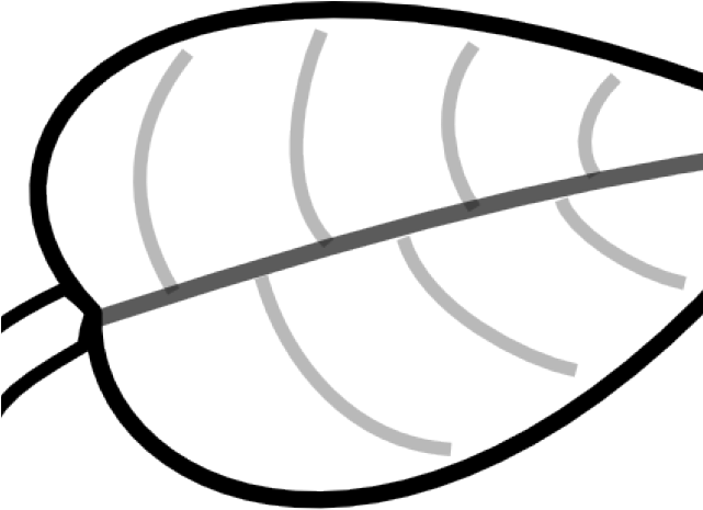 Clipart Royalty Free Leaves X Carwad Net - Clipart Royalty Free Leaves X Carwad Net (640x480)