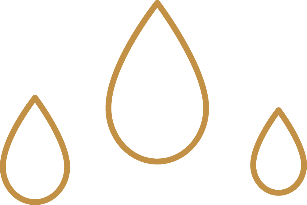 Mobile Pressure Washing - Mobile Pressure Washing (1000x668)