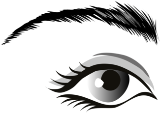 Human Eye Organ Globe Free Commercial Clipart - Human Eye Organ Globe Free Commercial Clipart (530x750)