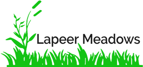 Lapeer Meadows Mhc - Lapeer Meadows Mhc (500x250)