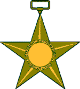 Bronze Star Medal - Bronze Star Medal (330x367)