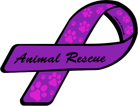 Clip Art Transparent Download Don T Little Healers - Clip Art Transparent Download Don T Little Healers (455x350)