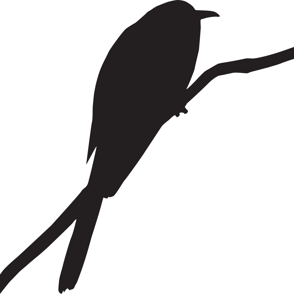 Blackbird Clipart Black Bird - Blackbird Clipart Black Bird (1024x1024)