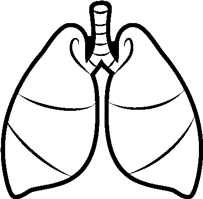 Free Human Heart And Lungs Coloring Pages - Free Human Heart And Lungs Coloring Pages (600x470)