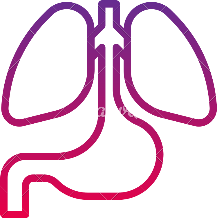 Anatomy Lung Body Health Human Icon - Anatomy Lung Body Health Human Icon (800x800)