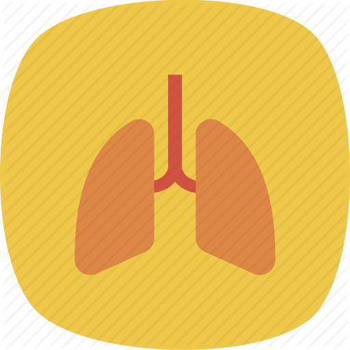 Medical Health Square Rounded Vol By Dinosoftlabs - Medical Health Square Rounded Vol By Dinosoftlabs (512x512)
