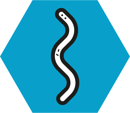 Valuable Allies Against Bacteria - Valuable Allies Against Bacteria (509x442)