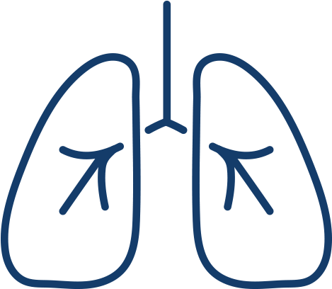 The Development Of A System That Faithfully Simulates - The Development Of A System That Faithfully Simulates (600x600)