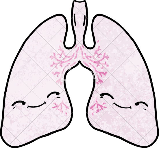 Lungs Drawing At Getdrawings - Lungs Drawing At Getdrawings (550x511)