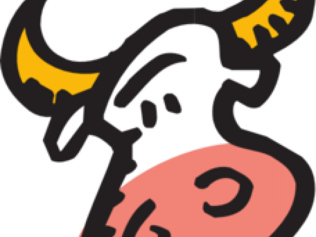 Bulls Clipart Face - Bulls Clipart Face (640x480)