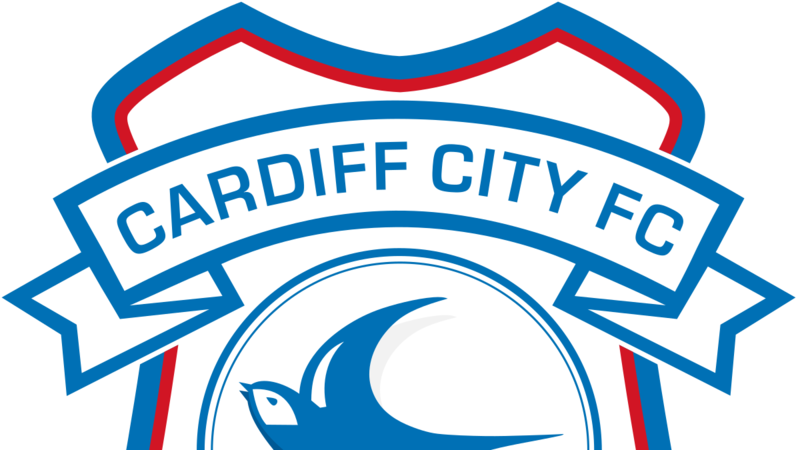 Petition Cardiff City Football Club Away Ticket - Petition Cardiff City Football Club Away Ticket (800x450)