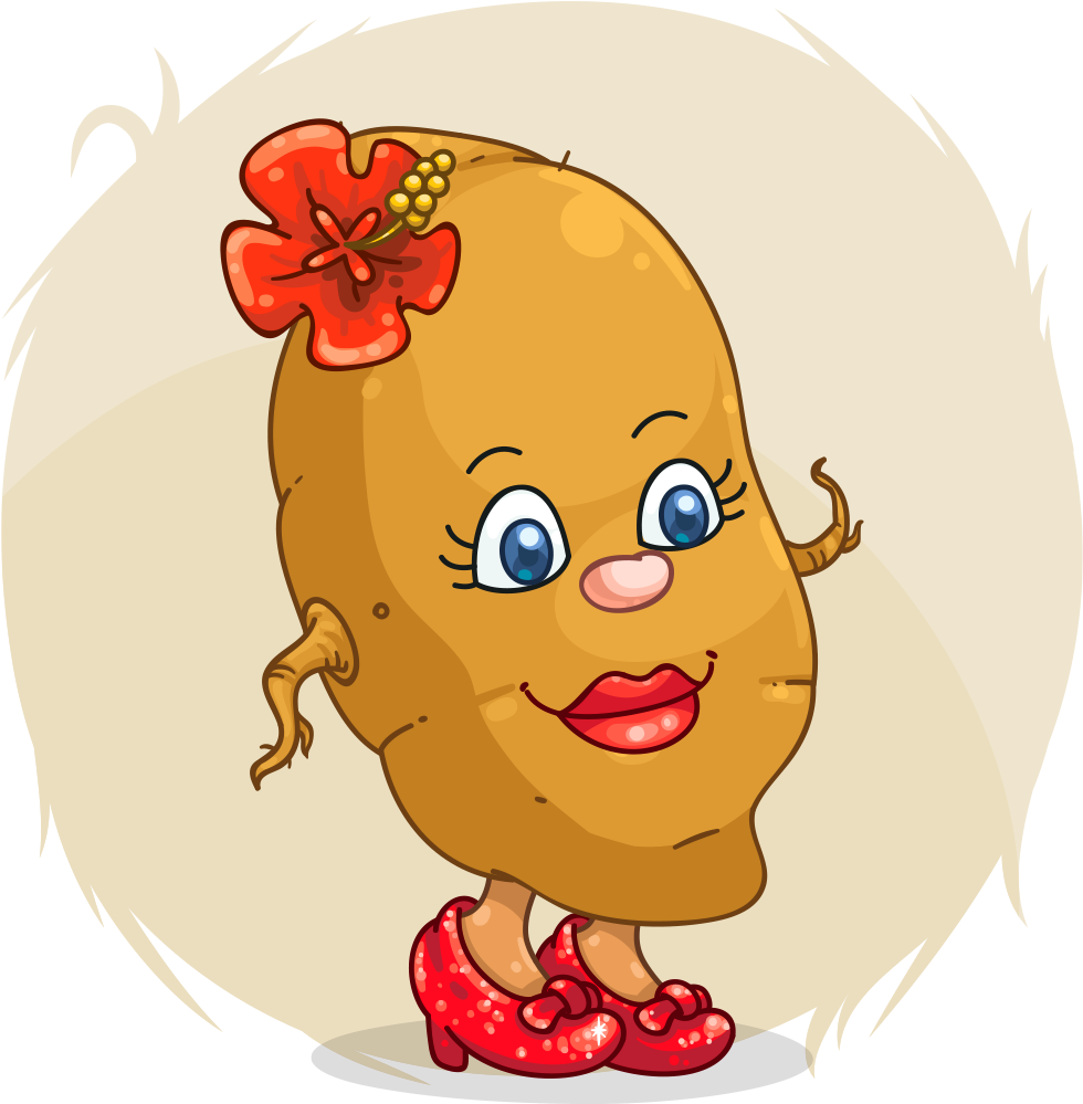 Foxato Sweet Potato - Foxato Sweet Potato (1024x1024)