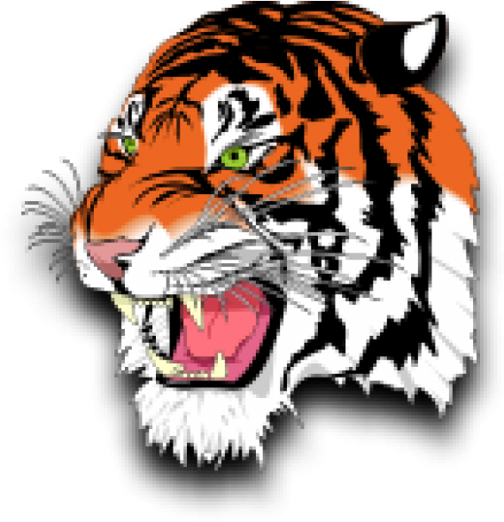 Tigres Clipart Tigers Football - Tigres Clipart Tigers Football (800x600)