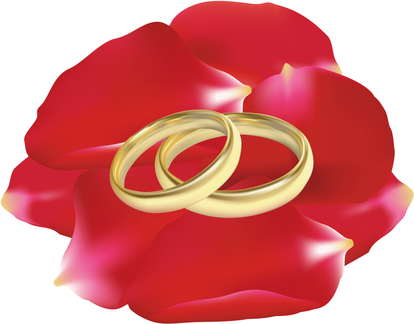 Download Wedding Rings In Rose Petals Clipart Png Photo - Download Wedding Rings In Rose Petals Clipart Png Photo (850x663)