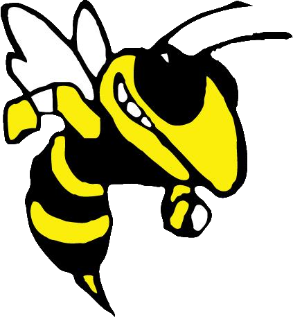 The Bessemer City Yellow Jackets Vs - The Bessemer City Yellow Jackets Vs (423x457)