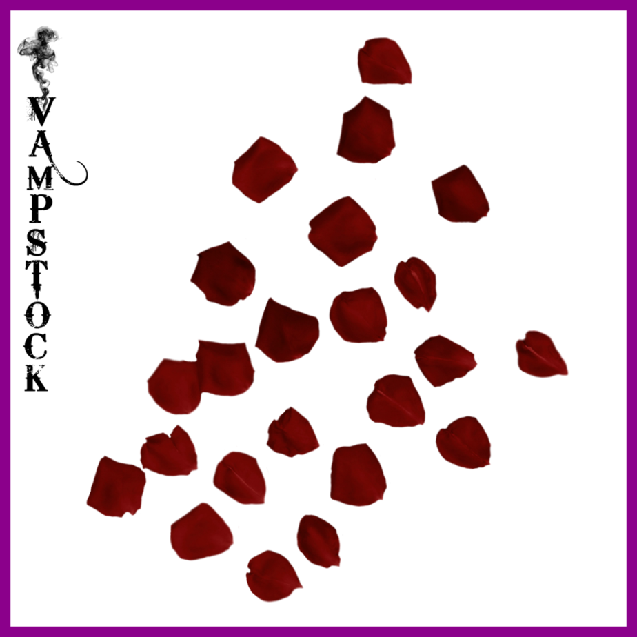 Unbelievable Transparent Red Rose - Unbelievable Transparent Red Rose (924x924)