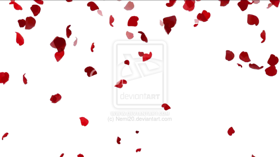 Gif Falling Rose Petals Clipart Petal Desktop Wallpaper - Gif Falling Rose Petals Clipart Petal Desktop Wallpaper (900x506)
