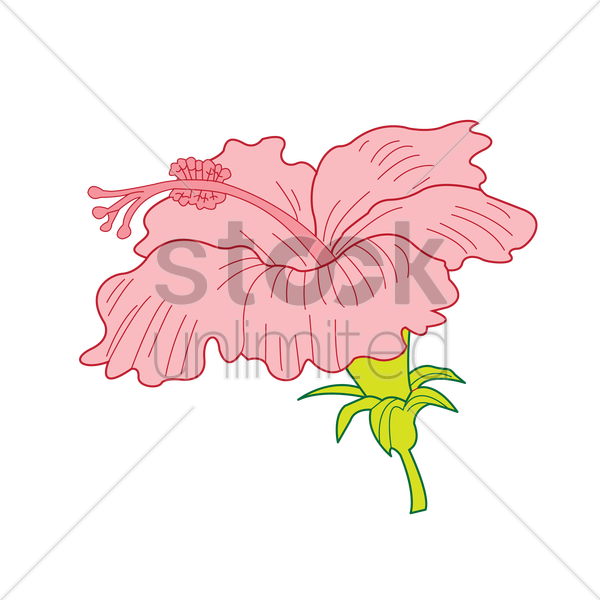 Petal Clipart Floral Design Visual Arts Clip Art - Petal Clipart Floral Design Visual Arts Clip Art (600x600)