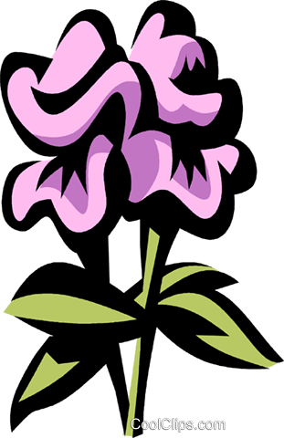 Snapdragon Royalty Free Vector Clip Art Illustration - Snapdragon Royalty Free Vector Clip Art Illustration (311x480)