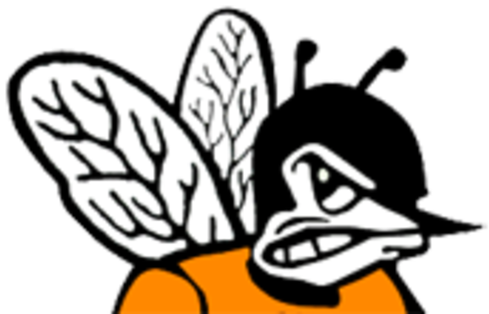 The Chester Yellow Jackets Defeat The Vienna-goreville - The Chester Yellow Jackets Defeat The Vienna-goreville (720x457)