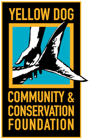 Yellow Dog Community & Conservation Foundation - Yellow Dog Community & Conservation Foundation (300x480)