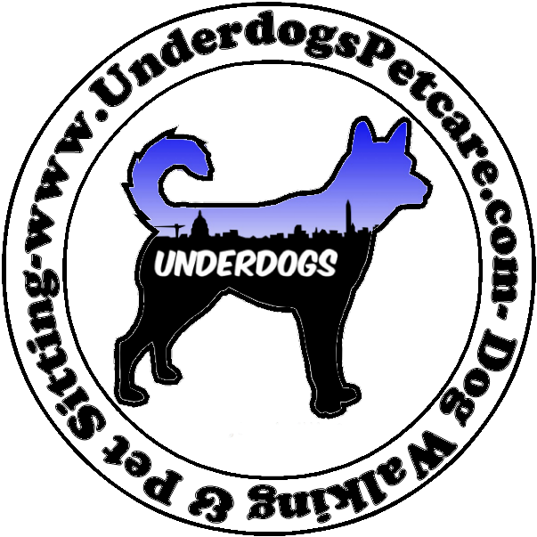 Underdogs Pet Care - Underdogs Pet Care (666x655)