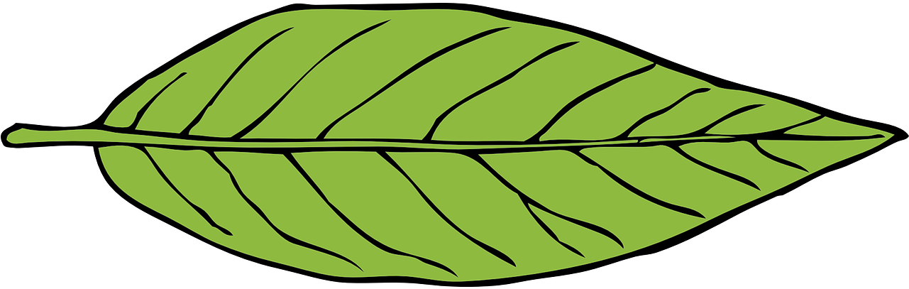 Fern Clipart Foliage - Fern Clipart Foliage (1280x640)