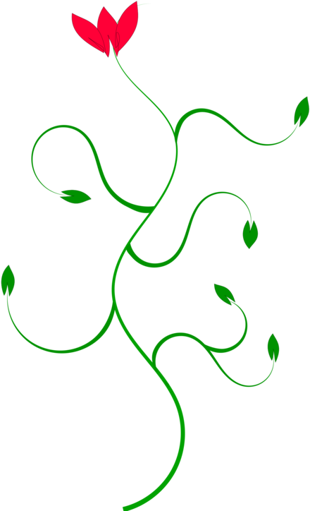 Petal Curve Flower Line Plant Stem - Petal Curve Flower Line Plant Stem (530x750)