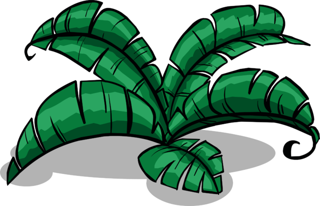 Fern Clipart Jungle Fern - Fern Clipart Jungle Fern (640x412)