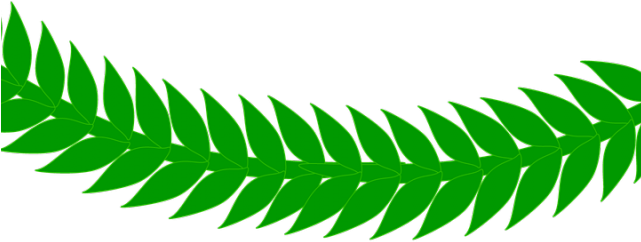 Fern Clipart Daun - Fern Clipart Daun (640x480)