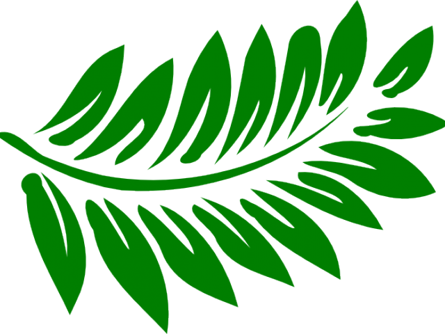 Fern Clipart Green Fern - Fern Clipart Green Fern (640x480)