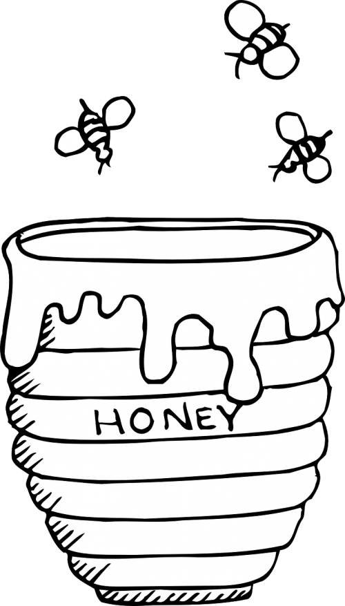 Jar Of Honey Clipart (500x877)