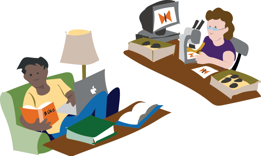 How To Become A Better Identifier - How To Become A Better Identifier (863x517)