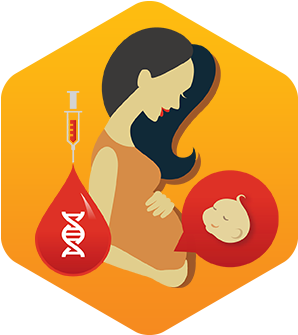 Determine The Father Of An Unborn Baby Using Mother - Determine The Father Of An Unborn Baby Using Mother (389x334)