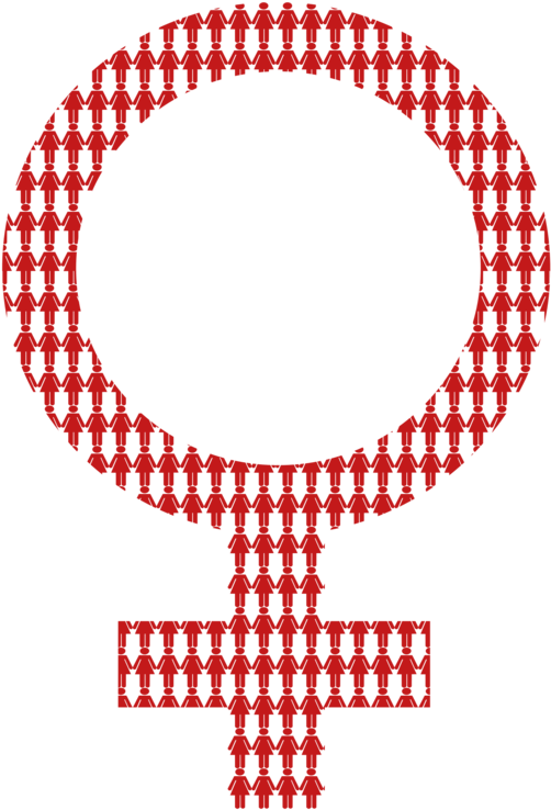 All Photo Png Clipart - All Photo Png Clipart (530x750)