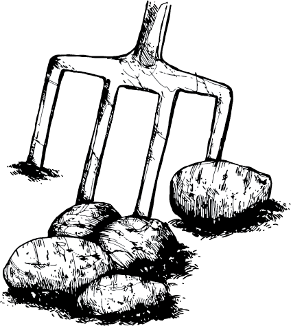 We Also Use Biodegradable Packaging Across All Our - We Also Use Biodegradable Packaging Across All Our (424x474)