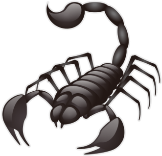 Scorpion Animals Scorpio - Scorpion Animals Scorpio (360x360)
