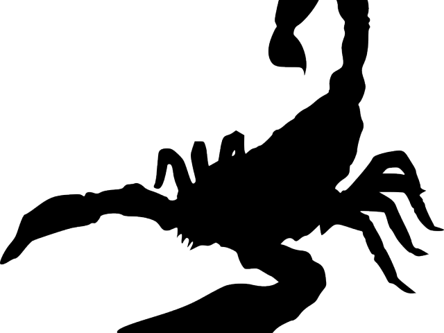 Drawn Scorpion Svg - Drawn Scorpion Svg (640x480)