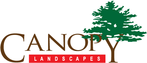 Header-logo - Header-logo (500x255)