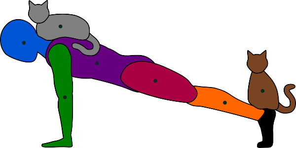 The Brown Cat, With Its Center Of Mass Almost Directly - The Brown Cat, With Its Center Of Mass Almost Directly (600x301)