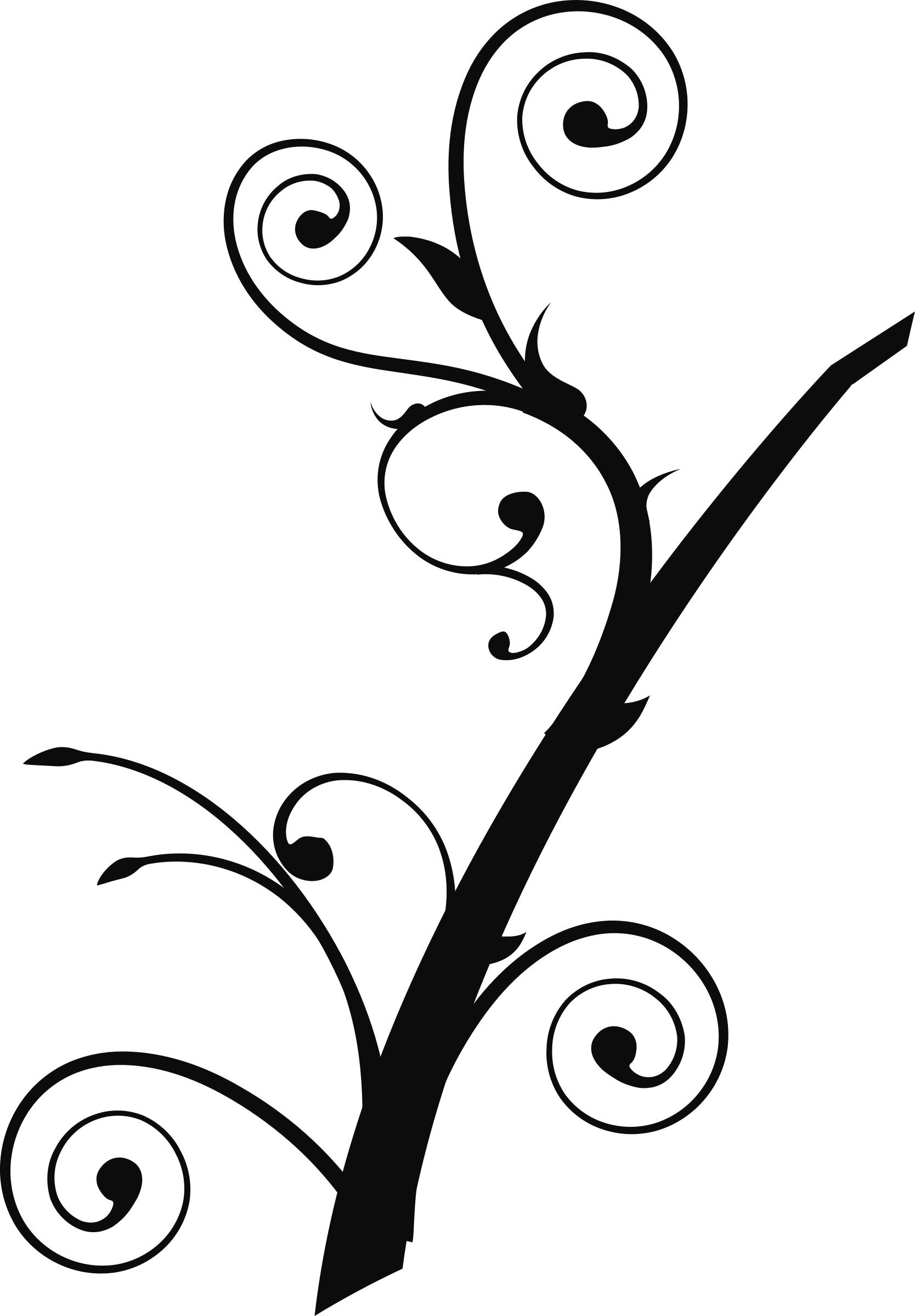 Branch Clipart Swirly Tree - Branch Clipart Swirly Tree (1668x2400)