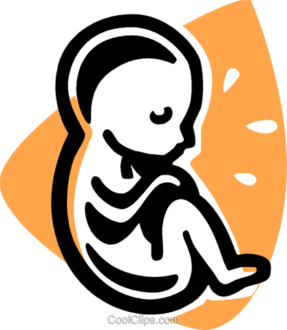 Fetus Royalty Free Vector Clip Art Illustration -vc075914 - Fetus Royalty Free Vector Clip Art Illustration -vc075914 (417x480)