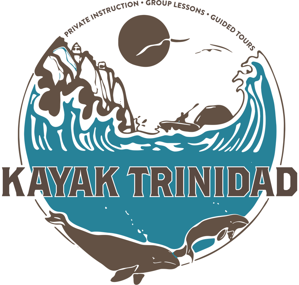 Kayak Clipart Logo - Kayak Clipart Logo (1000x951)
