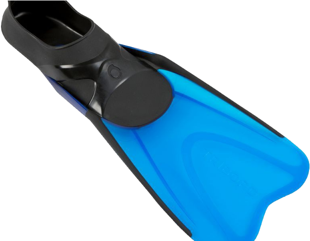 Flippers Clipart Transparent Background - Flippers Clipart Transparent Background (640x480)